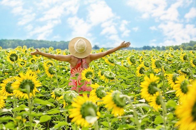 Woman_sunflowers