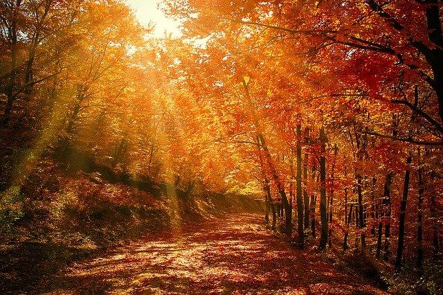 Path